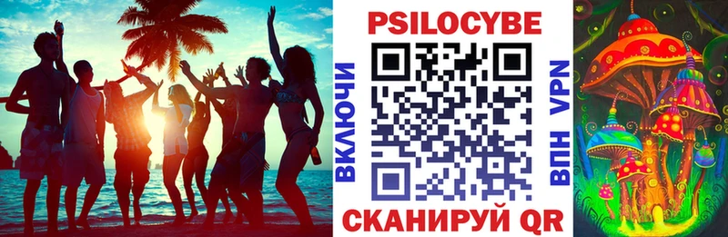 Псилоцибиновые грибы прущие грибы  mega ССЫЛКА  Унеча 